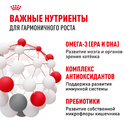 Сухой корм Royal Canin Kitten для котят до 12 месяцев 4 кг